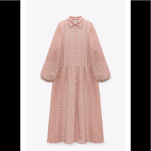 BLOGGER FAV Zara Dress embroidered midi dress - Picture 3 of 5